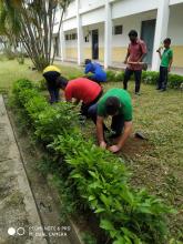 Tree Plantation Drive