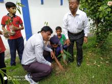 Tree Plantation Drive