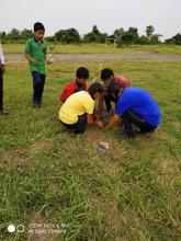 Tree Plantation Drive